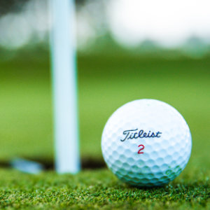 Restaurant Latest New