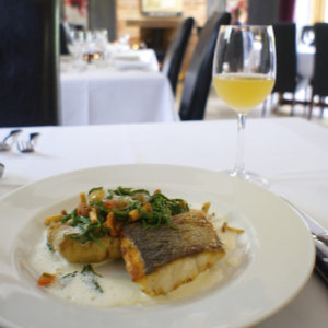 Gourmet Cookery Experiences