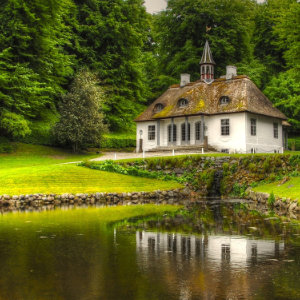 Restaurant Latest New