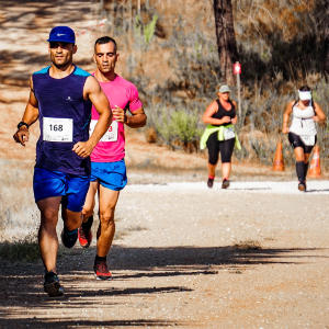 Restaurant Latest New