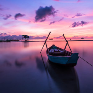 Restaurant Latest New