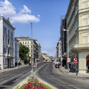 Trending In My Town New